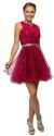 Main image of Lace Top Tulle Skirt Short Homecoming Party Dress